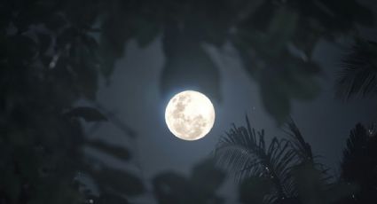 Superluna de enero: cómo ver la Luna del Lobo y en qué fechas