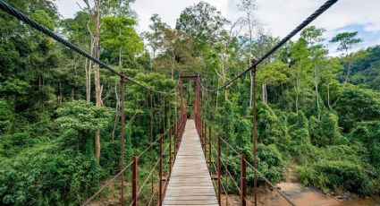 Esta fue la primera ciudad española en México y podrás recorrerla entre puentes colgantes en 2026