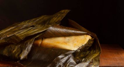 ¿Cuál es el mejor destino de México para probar tamales oaxaqueños, según la IA?