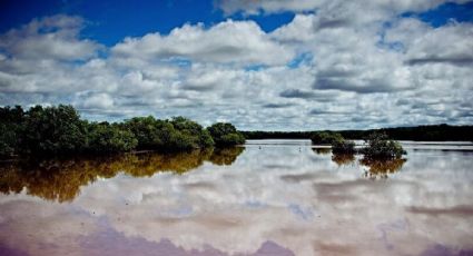 Las Islas Flotantes de Los Petenes que puedes disfrutar en un viaje al natural