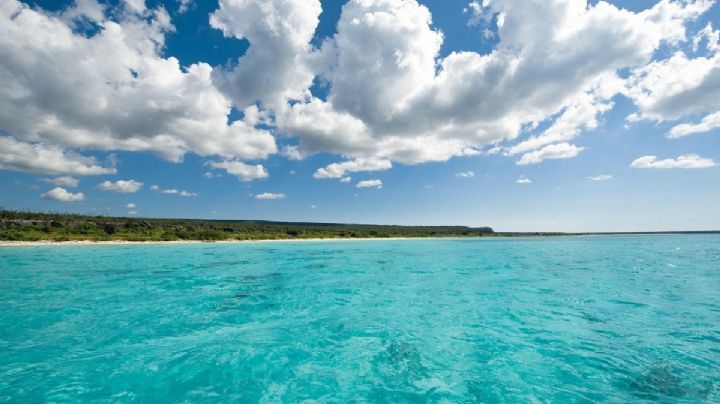 La isla de aguas turquesa que puedes disfrutar en Veracruz para sentirte como en el Caribe