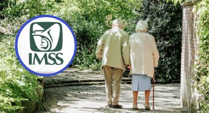 Este es el calendario de pagos Pensión IMSS 2026: ¿Habrá aumento?