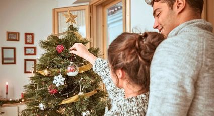 Así puedes reciclar tu árbol de Navidad y nochebuenas si vives en la CDMX
