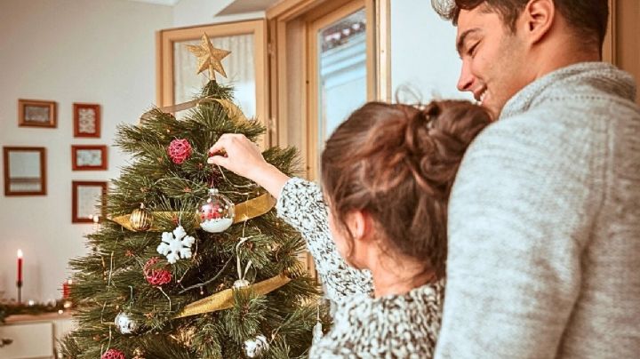 Así puedes reciclar tu árbol de Navidad si vives en la CDMX