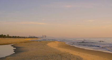 Majahua, la playa de Guerrero con olas tranquilas para visitar el mar con tus hijos en 2026