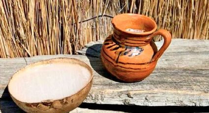 Día del Pulque hoy 1 de febrero en CDMX: Actividades para homenajear a la ‘bebida de los dioses’