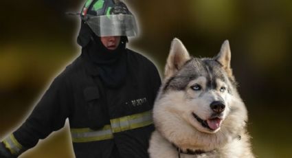 Rescate conmueve en CDMX: bomberos salvan a perrito atrapado en un incendio
