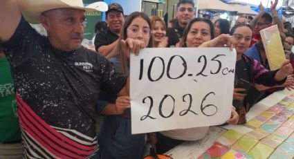 Feria de la Alegría y el Olivo 2026: Así se elaboró la palanqueta de alegría de 100 metros