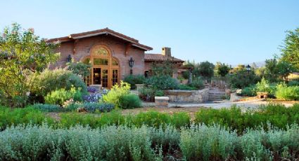 ¿Cuál es el Pueblo Mágico donde se crea la cerveza para disfrutar viajes con sabor?