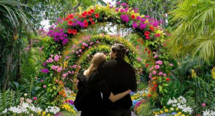 Jardín del Buen Amor: ¿Cuáles son los horarios para disfrutar esta experiencia GRATIS en CDMX?