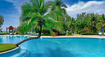 Balneario de aguas termales en Hidalgo por 75 pesos con descuento INAPAM y un tobogán de 30 metros