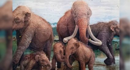 Los restos de mamuts hallados en Chapultepec que revelan el pasado prehistórico de CDMX