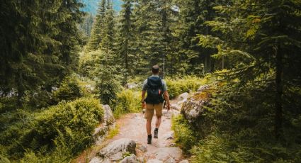 ¿Viaje a la montaña? Así puedes reportar incendios forestalaes para evitar incidentes