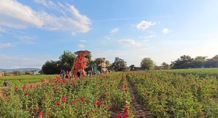 ¿Cuánto gastas en casetas para llegar al pueblo más pintoresco de Puebla para ir en primavera?