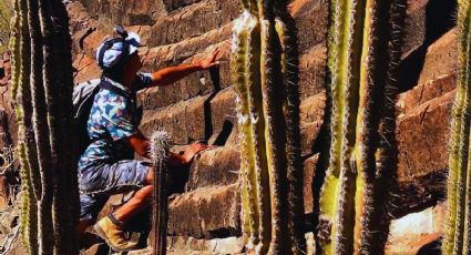 El impresionante paisaje de Prismas Basálticos en Comondú que pocos viajeros conocen