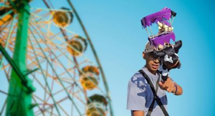 Toritos de peluche causan sensación en feria de Xochimilco y se vuelven virales
