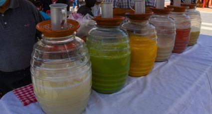 Feria del Pulque y la Barbacoa 2026 llega a la CDMX para disfrutar en estas FECHAS