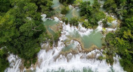 El paraíso escondido de Tabasco donde puedes nadar entre aguas cristalinas y selva