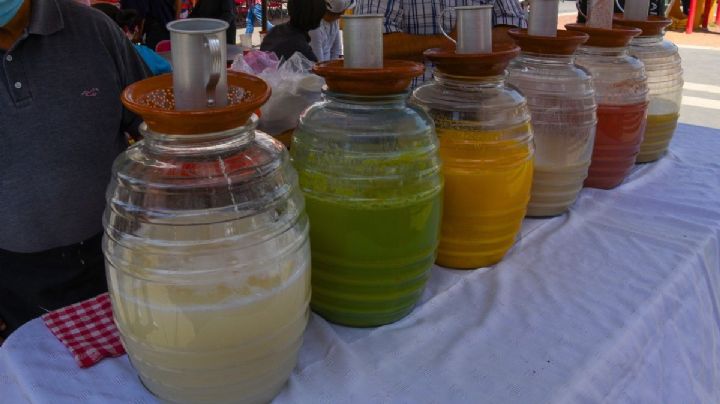 Feria del Pulque y la Barbacoa 2026 llega a la CDMX para disfrutar en estas FECHAS