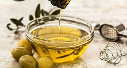 Feria de la Alegría y el Olivo en Xochimilco: Cuándo termina y cómo llegar en transporte público