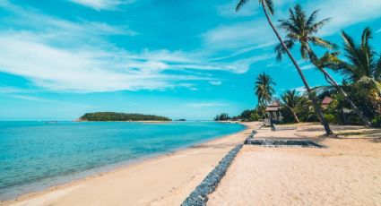 La playa de Oaxaca donde el desierto y el mar se encuentran en un mismo paisaje