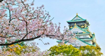 Fechas de sakura en Japón 2026 y cuándo viajar para ver los cerezos en flor