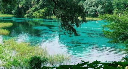 Cómo llegar al balneario de Morelos, alimentado con agua de manantial, con un borbollón por sólo 70 pesos