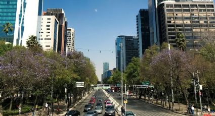 Hoy NO circula 23 de febrero 2026: ¿Qué autos descansan por contingencia?