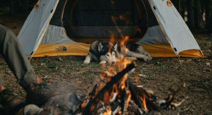 ¿Vas de campamento? Así puedes encender una fogata segura sin poner en riesgo tu viaje