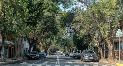 Hoy NO circula 24 de febrero 2026: ¿Qué autos descansan por contingencia?