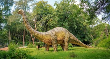 El sitio en México donde puedes caminar sobre huellas de dinosaurios milenarios