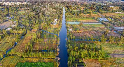 Turismo rural en CDMX: dónde vivir naturaleza y tradición sin salir de la ciudad