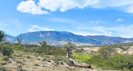 El municipio de Puebla que resguarda huellas de dinosaurios y sorprende con su riqueza artesanal