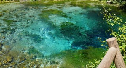 Cuánto cuesta viajar en autobús al balneario de manantiales termales en un Pueblo Mágico de Morelos