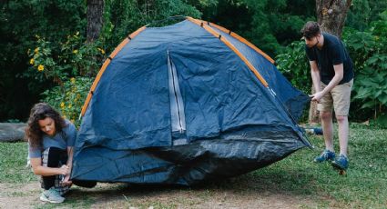Celebra la primavera con un campamento familiar en el Zoológico de Zacango, en el Edomex