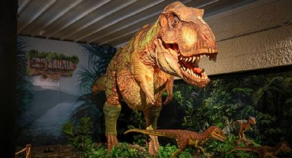 La exposición perfecta para que los niños carguen dinosaurios animatrónicos por 60 pesos