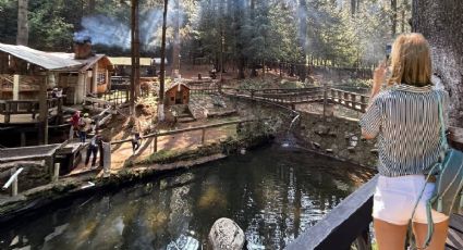 Las cabañas entre el bosque para disfrutar un descanso sin salir de la CDMX