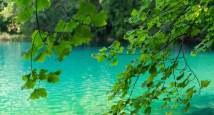 El balneario privado en Hidalgo para tu grupo, con manantial y acceso por 150 pesos