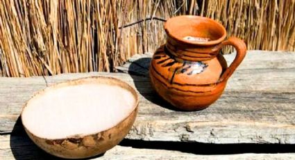 Día del Pulque: Jardín Botánico de la UNAM celebrará la bebida de los dioses con actividades especiales