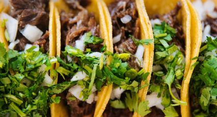 Expo Barbacoa Tlalpan 2026 llega a la CDMX para deleitar a los viajeros con sabor tradicional