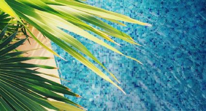 El balneario más tranquilo de Morelos para ir con niños por 40 pesos la entrada