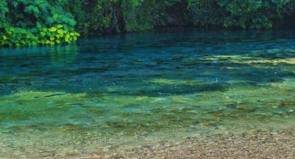 ¿Cuánto cuesta viajar en autobús al balneario de Morelos alimentado con agua de manantial?