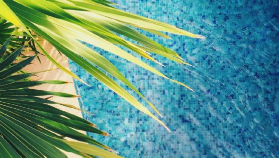 El balneario más tranquilo de Morelos para ir con niños por 40 pesos la entrada