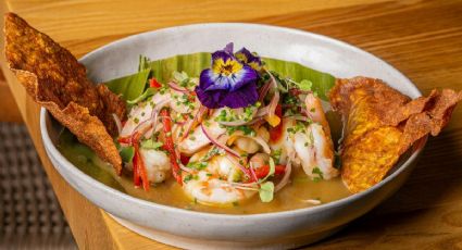 Cuánto cuesta viajar en autobús al mejor Pueblo Mágico para comer aguachile, según reseñas de Google