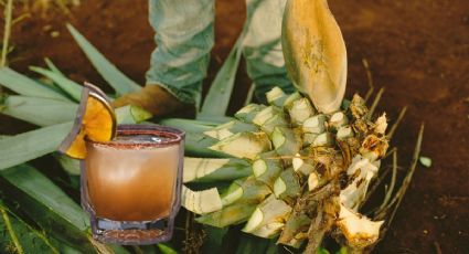 Ruta del Mezcal en el Edomex: destinos para conocer su elaboración artesanal