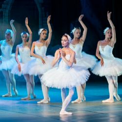 El Lago de los Cisnes en la CDMX: Fechas y horarios para disfrutarlo