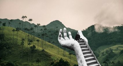 Valle del Cocora: Conoce la tierra de palmeras gigantes de más de 200 años de vida