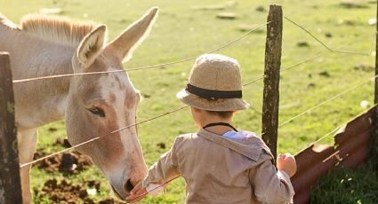 El Pueblo Mágico menos conocido del Edomex donde se celebra el Festival del Burro