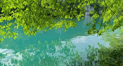 ¿Cuánto se paga de casetas para llegar al manantial más grande de Morelos desde la CDMX?