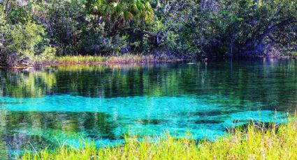 Balneario natural en Morelos con albercas y pozas de agua templada, donde la entrada cuesta $150